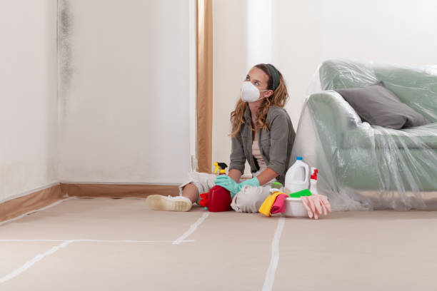 Reliable Mold Cleanup contractor in Spring Lake, NC by Cheap Mold Removal